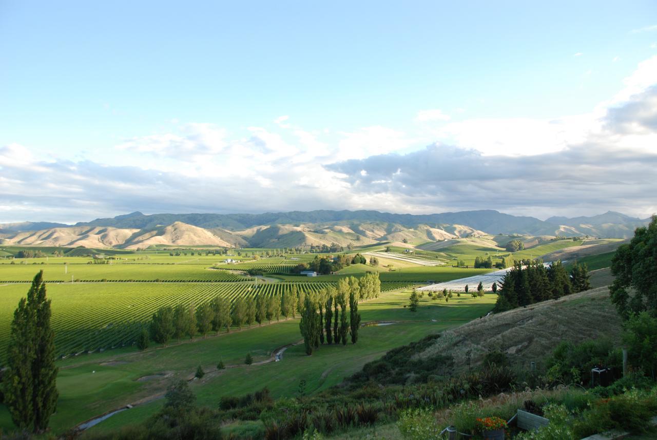 Infinityview B&B Blenheim Exterior photo
